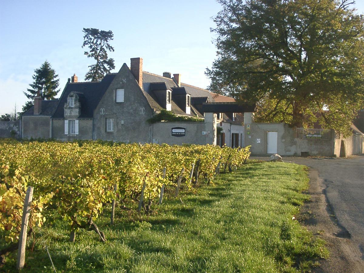 Au Clos De L'Epinay Vouvray Exterior foto