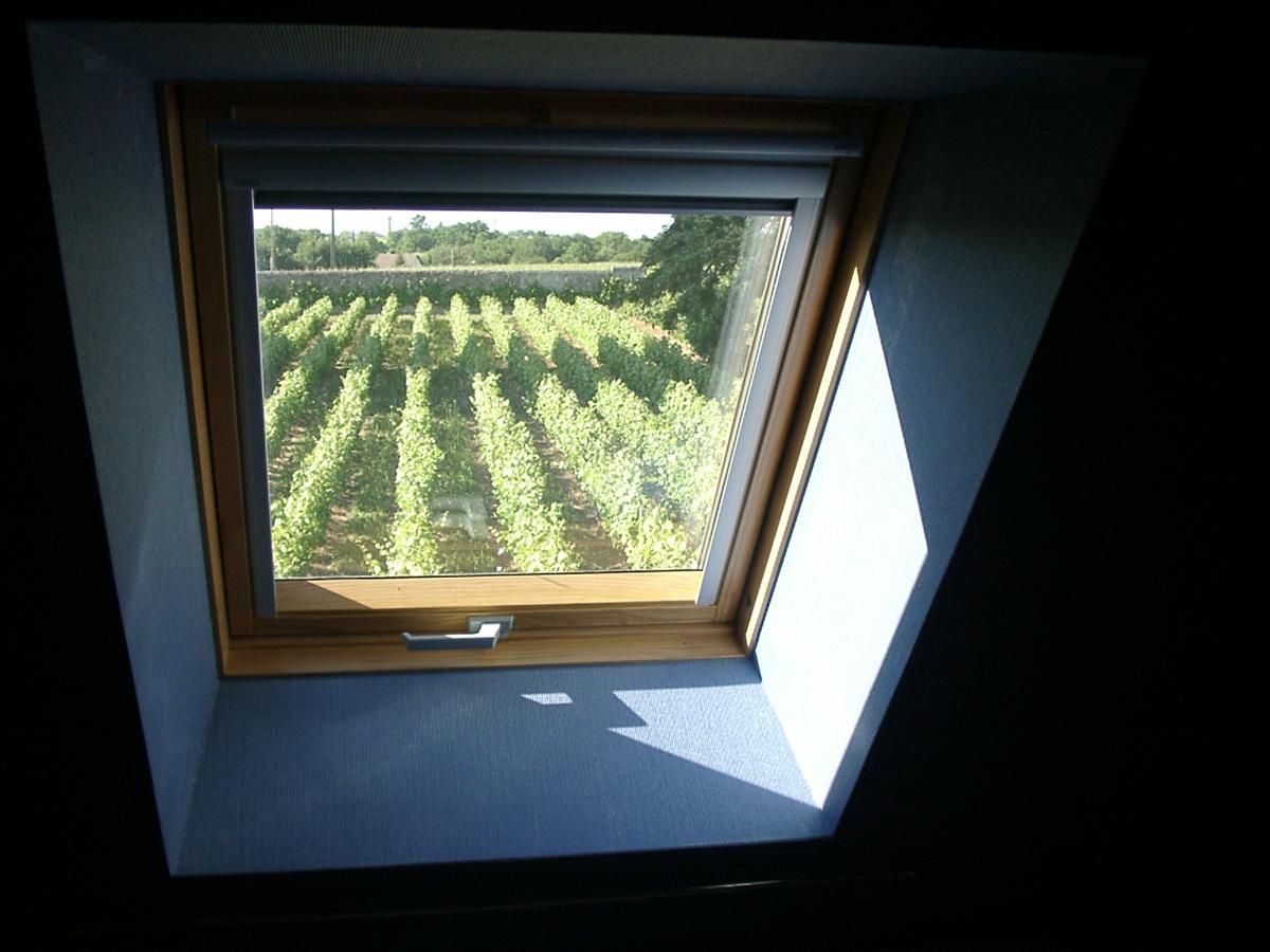 Au Clos De L'Epinay Vouvray Exterior foto